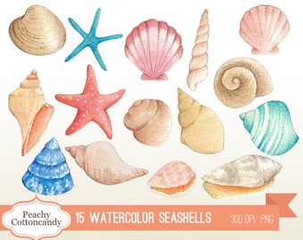 BUY 2 GET 1 FREE Watercolor Seashells Clip Art - seashell clipart - summer clipart - beach clipart - nautical clipart - Commercial Use Ok