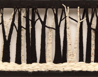 Black and Birch Forest