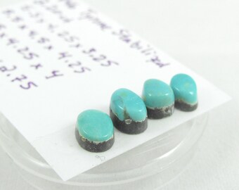Tyrone stabilized turquoise cabochons