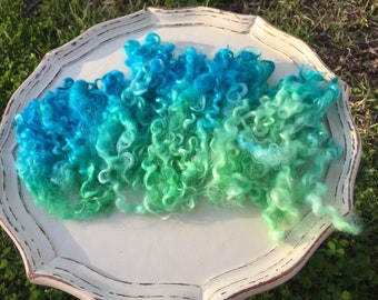 Separated Teeswater Blue and Green Locks