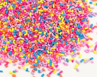 20g Candy Sprinkles - Rainbow Bright Kawaii Cute Fake Food Polymer Clay Slime Sprinkles