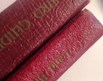Pair 1906-1909 Audubon Leather Bound Bird Guide Books With Inked Illustrations Color Plates Over 300 Illustrations in Each