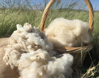 Washed Debouillet Fleece