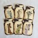 Captured Fairy Fairies Mason Jar Tags or Toppers for craft scrapbooking gifts etc - set of 6