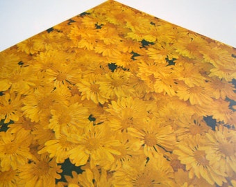 1975 All Any Occasions Wrapping Paper Yellow Gold Daisies Flower Power Gift Wrap