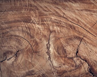 Wood Materials Upgrade