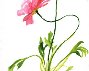 Coral Poppy - original painting