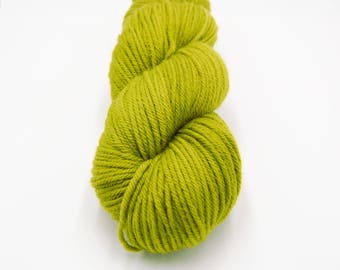 Merino Worsted Hand Dyed Yarn - Sprig