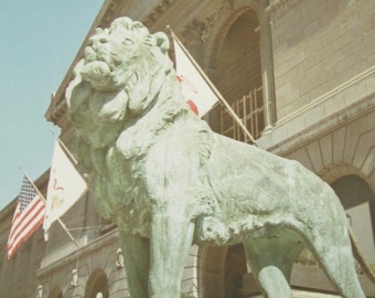 Vintage 1960's Chicago Art Institute Lion Sculpture Snapshot Photo - Free Shipping