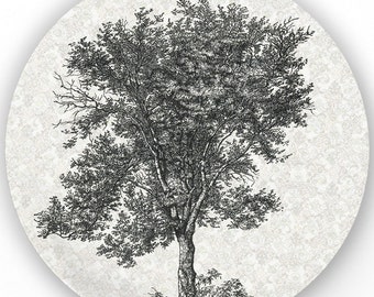 Tree III, vintage engraving plate