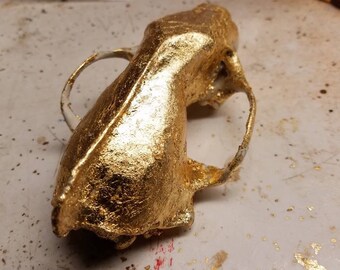 Gold patina fisher skull