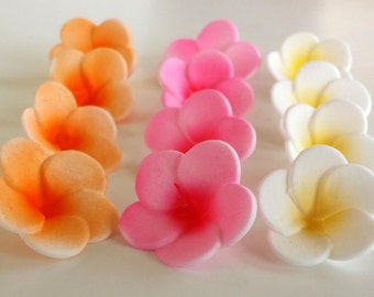 12 Edible Plumeria Gumpaste Flower, for cakes, cupcakes and cake pops