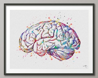 Brain Anatomy Watercolor Print Medical Art Science Art Graduation Gift Anatomy Neurology Human Brain Nurse Science Poster Psychological-972