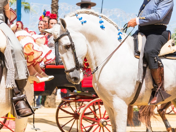 Horse Prints, "JEREZ HORSE FESTIVAL 1",. Spanish Horses, Photographic Print, Travel Photography, White Horse Print