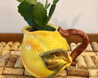 Hand-Painted and Hand-Crafted Yellow Lemon Pitcher with Live Succulent Plant
