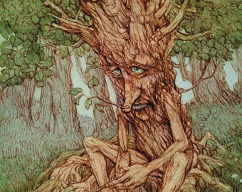 Rootfoot Tree Ent Signed 8.5x11 Print