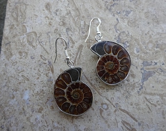 Sterling silver Ammonite Earrings