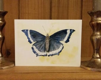 Butterfly. Blue, beautifully detailed, charming.