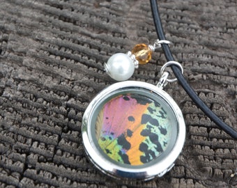 Real butterfly double sided locket- Madagascar Sunset Moth