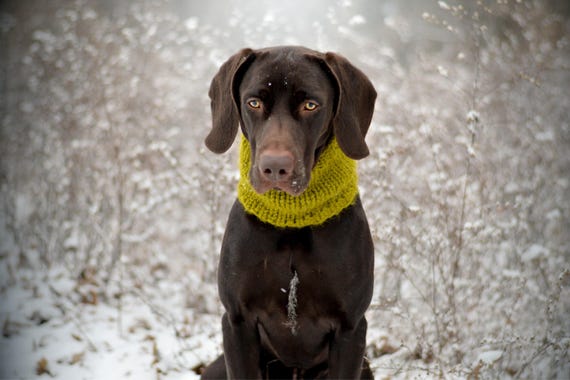 Dog Snood Knit Dog Snood Snood for dogs Dog lover gift dog