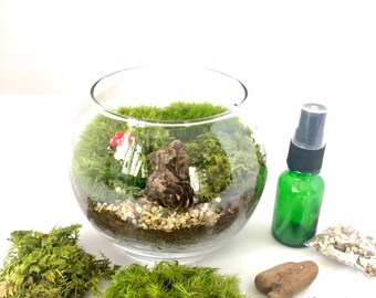 Complete Terrarium Kit