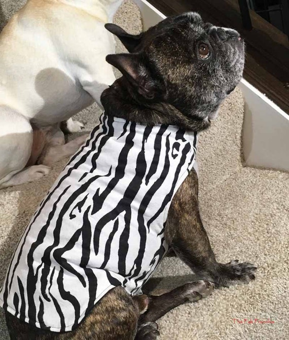 French Bulldog Frenchie Reversible Zebra Print Flannel and