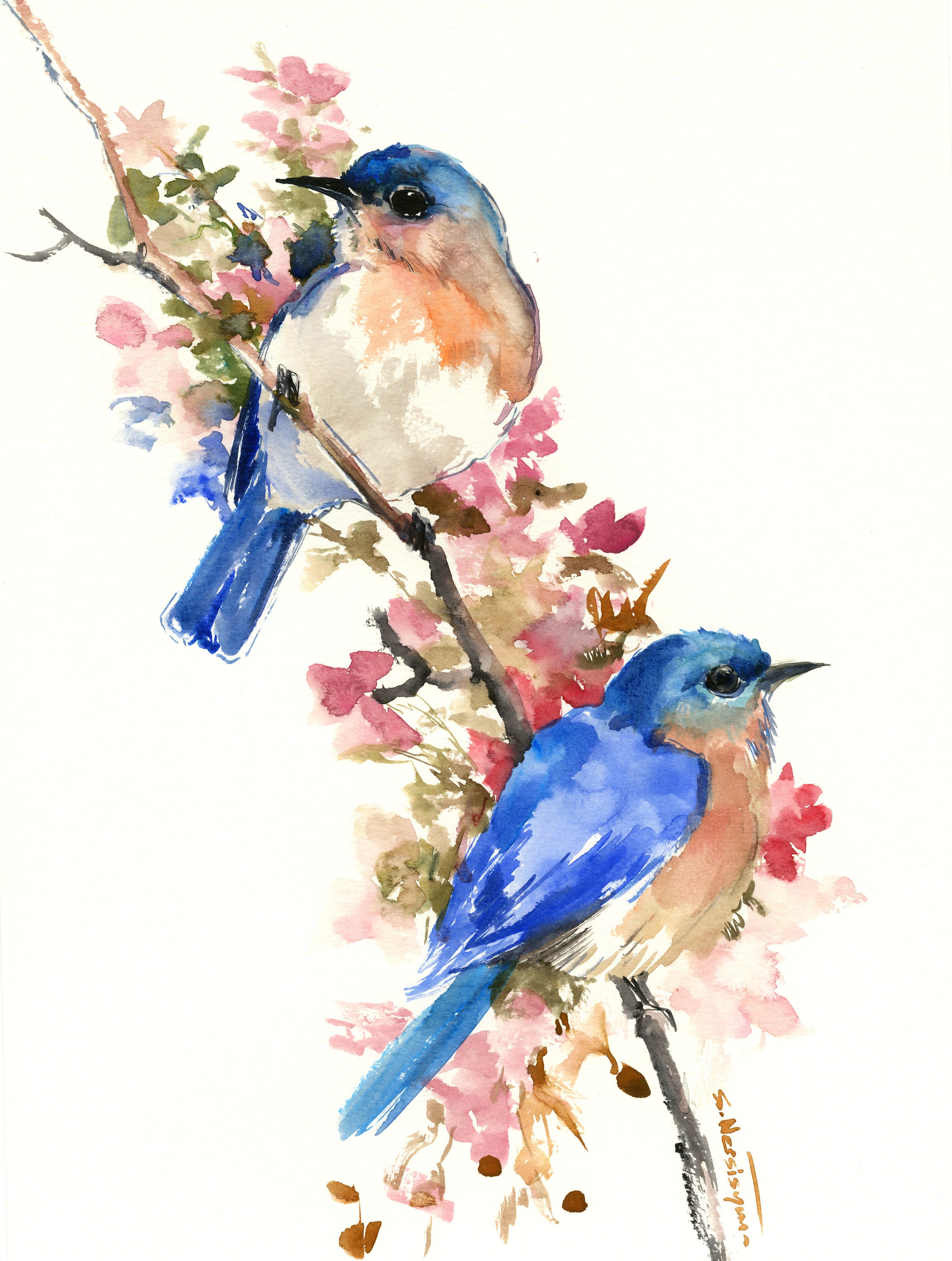 Il fullxfull 1460073369 oeqv jpg Pintura De Pajaros P jaro De