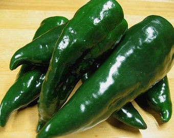 VPPH) ANCHO HOT Pepper~Seeds!!!~~~~~~~~~Big, Smokey Flavor