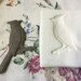 Cardinal Bird Stamp Bisque Clay Sprig Stamp for Ceramic Decoration and Texture Pottery Clay Tools