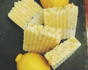 Homemade Soap/Skincare/All Natural/Bar Soap