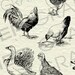 Vintage Farm Animal Illustrations Printable Farm Animals