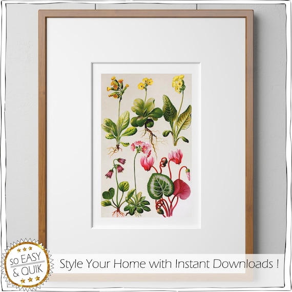 Garden Flower, Vintage, Printable