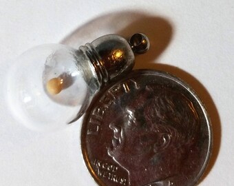 Small Mustard Seed pendant glass round container