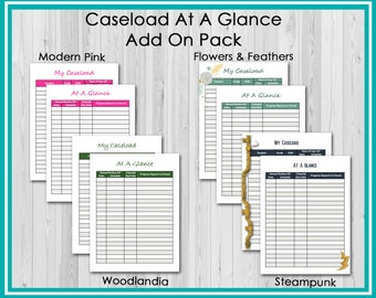 Add On: Caseload At A Glance