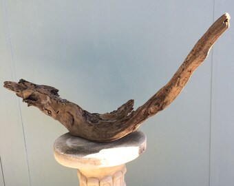 Large Piece Driftwood, curved driftwood, beach wood, ocean wood, weathered wood, coastal decor