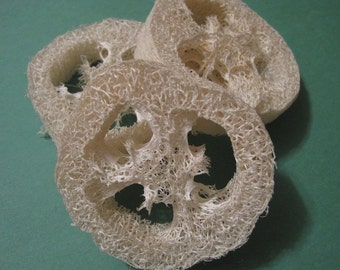 Clearanced 3 Natural Hand-cut Loofah Slices - for Bath and Body, Decoration, Kitchen Sponge, or more