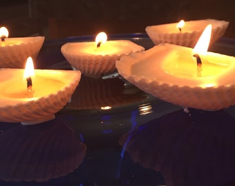 Shell Tealights Set of 6