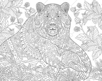 Grizzly Bear Coloring Pages Animal Book For Adults Instant Download Print