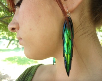 Extra Long Mermaid Tail - Egyptian Beetle Wings