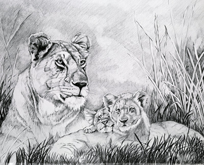 Lioness with two cubs Lithographs of original pencil