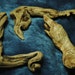 Collection of driftwood pieces. Naturally sculptural and unique.