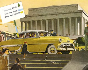 Warblers in Washington. Limited edition print by Vivienne Strauss.
