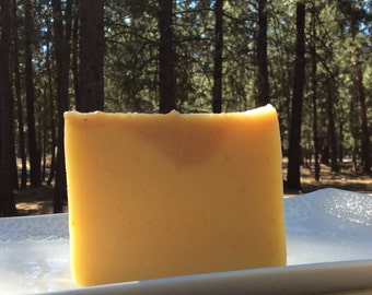 Pumpkin Vegan Soap, Unscented, All Natural Soap, Sensitive Skin Soap