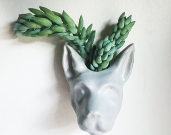 Dog Head Wall Planter, Animal Head, Wall Planter, Concrete, Cement, Air Plant, Succulent