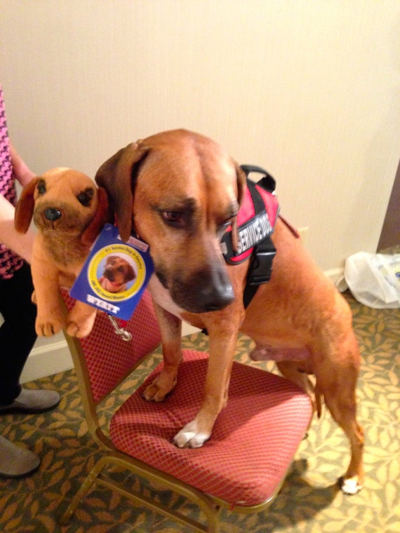 rhodesian ridgeback stuffed toy