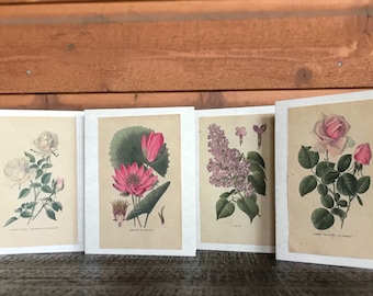 Seed Paper Cards / Set of 4 / Plantable / Vintage Designs