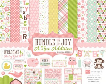 Bundle of Joy A New Addition