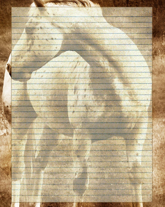 printable horse journal page animal stationery horse lined