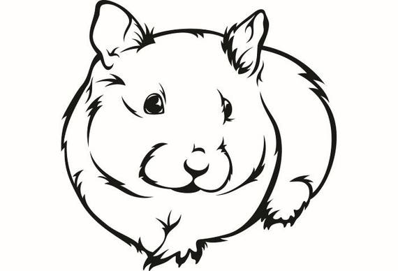 Download Hamster 2 Guinea Pig Mouse Gerbil Rat Rodent Animal Pet .SVG