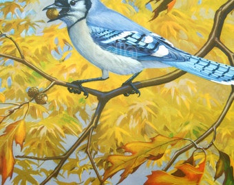 Vintage BIRDS Print - Blue Jay - 1930s Book Illustration by Walter Alois Weber